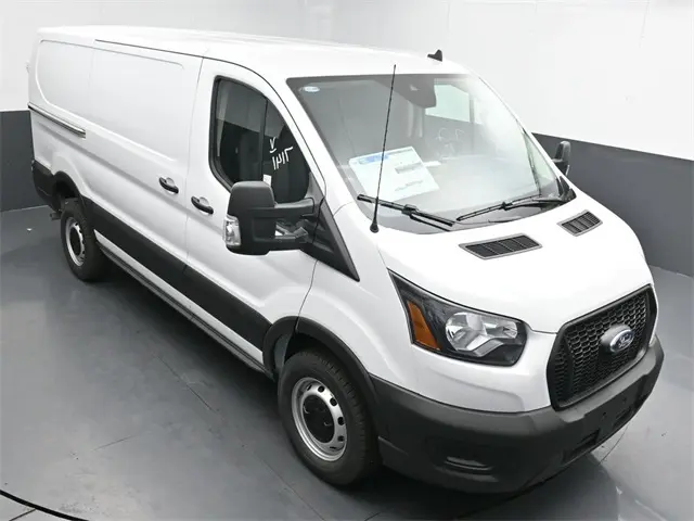 image-19
