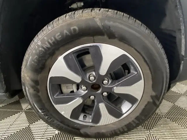 image-19