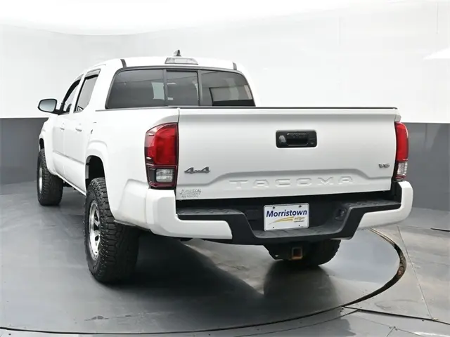 image-11