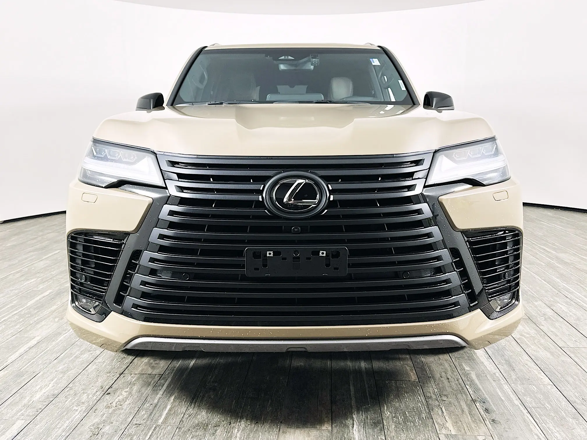 2025 Lexus LX photo 2