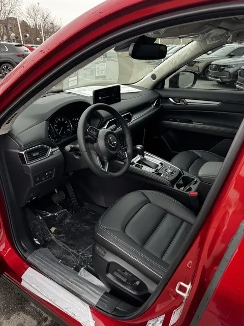 image-10