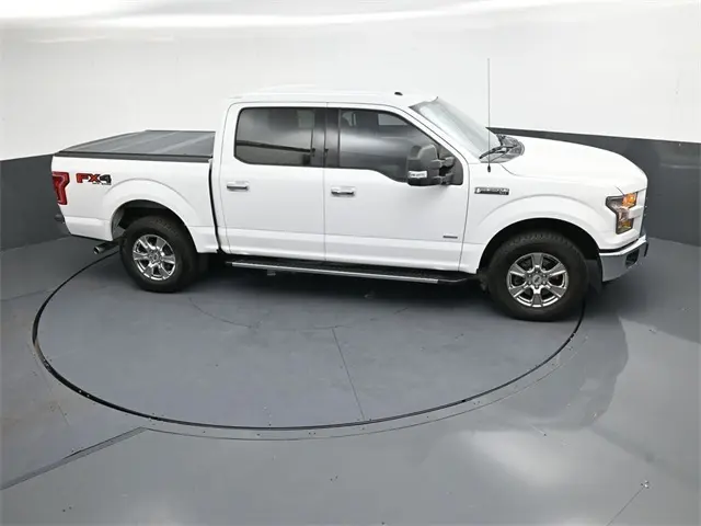 image-19