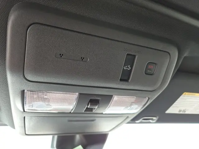 image-19