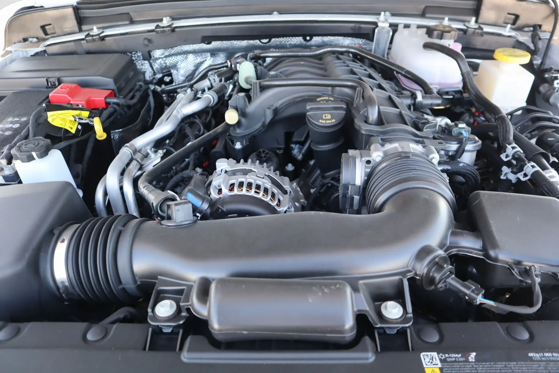 image-19