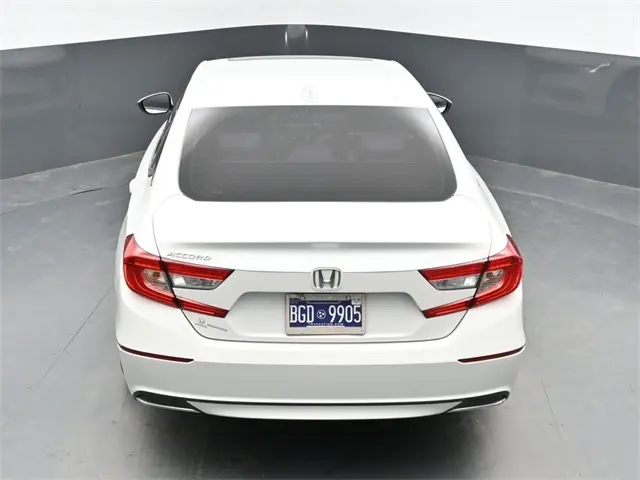 image-19