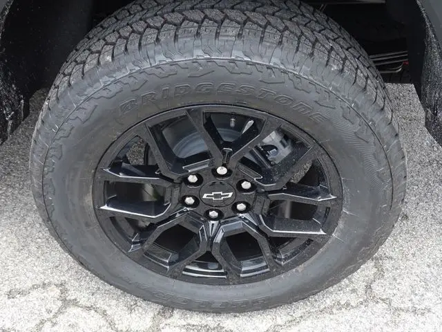 image-11