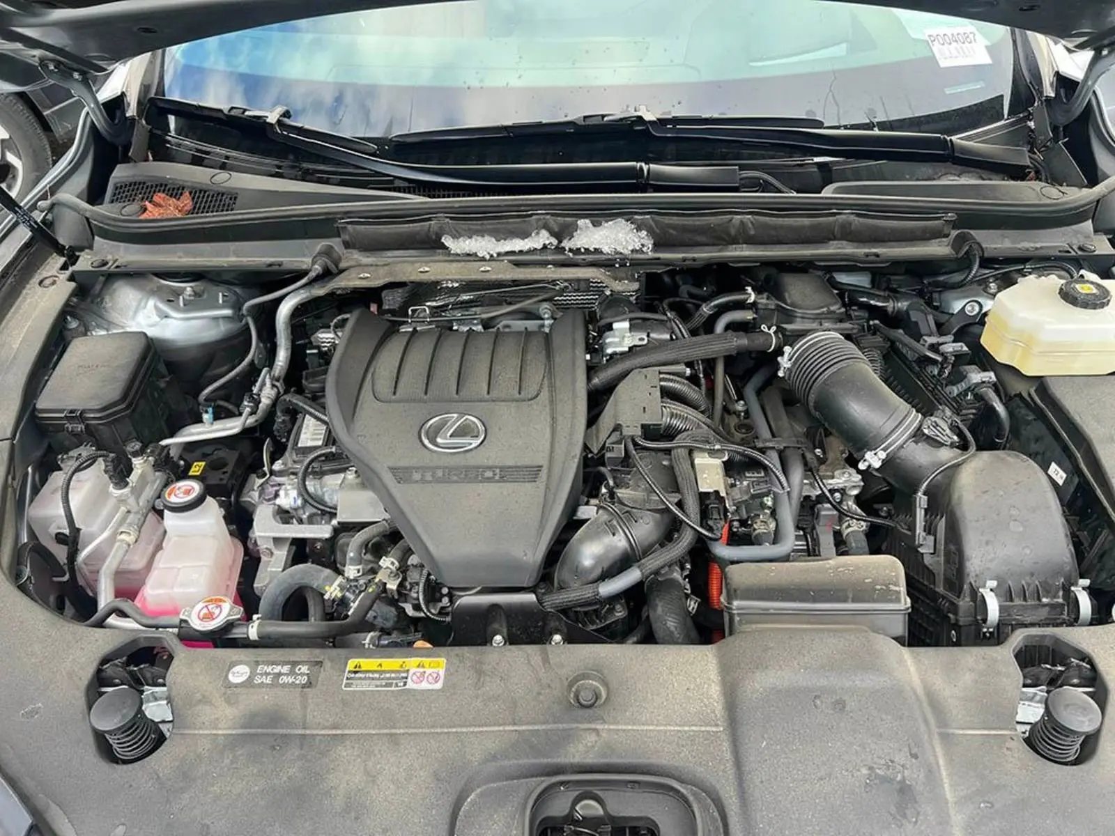 image-9