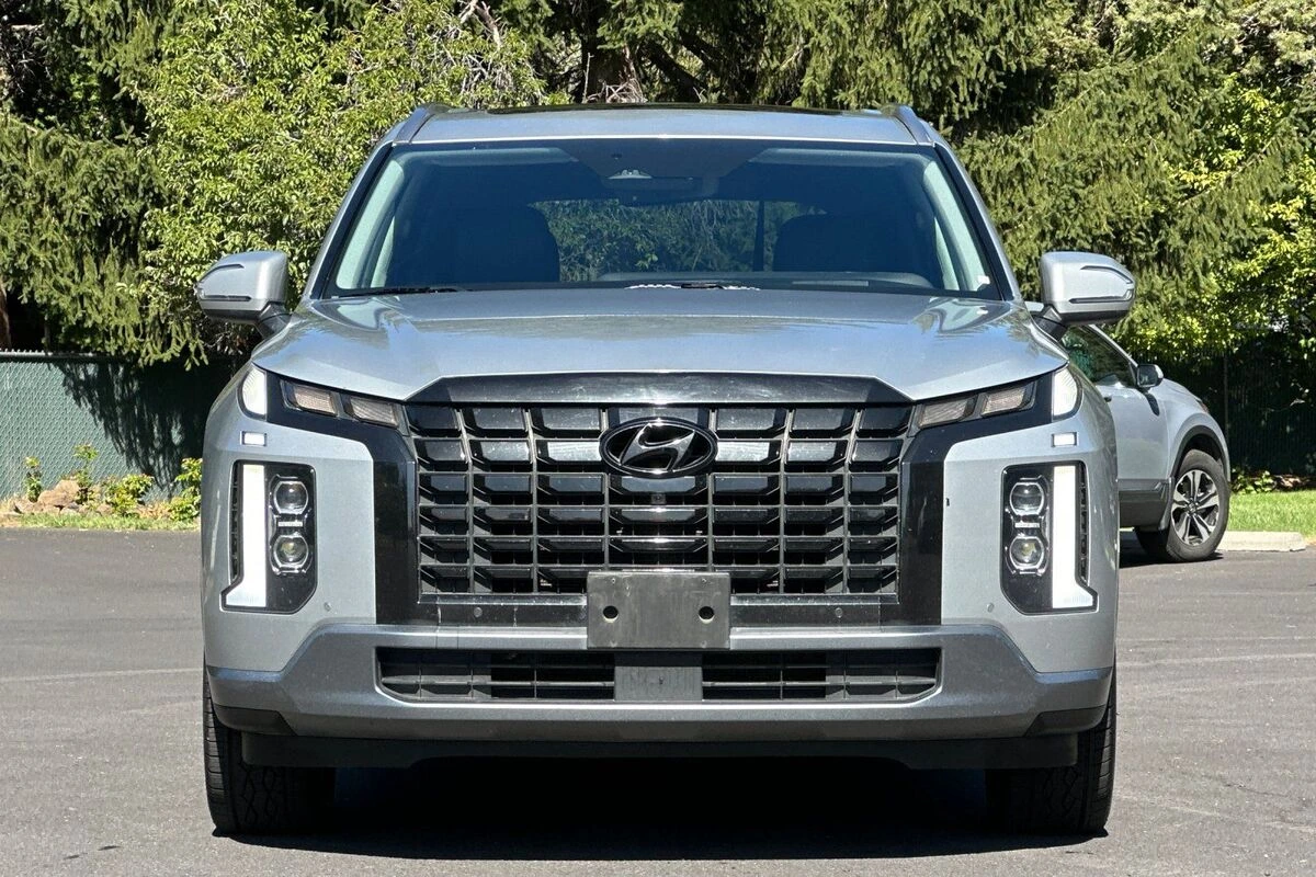 2023 Hyundai Palisade Limited - Photo 9