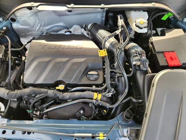 image-19