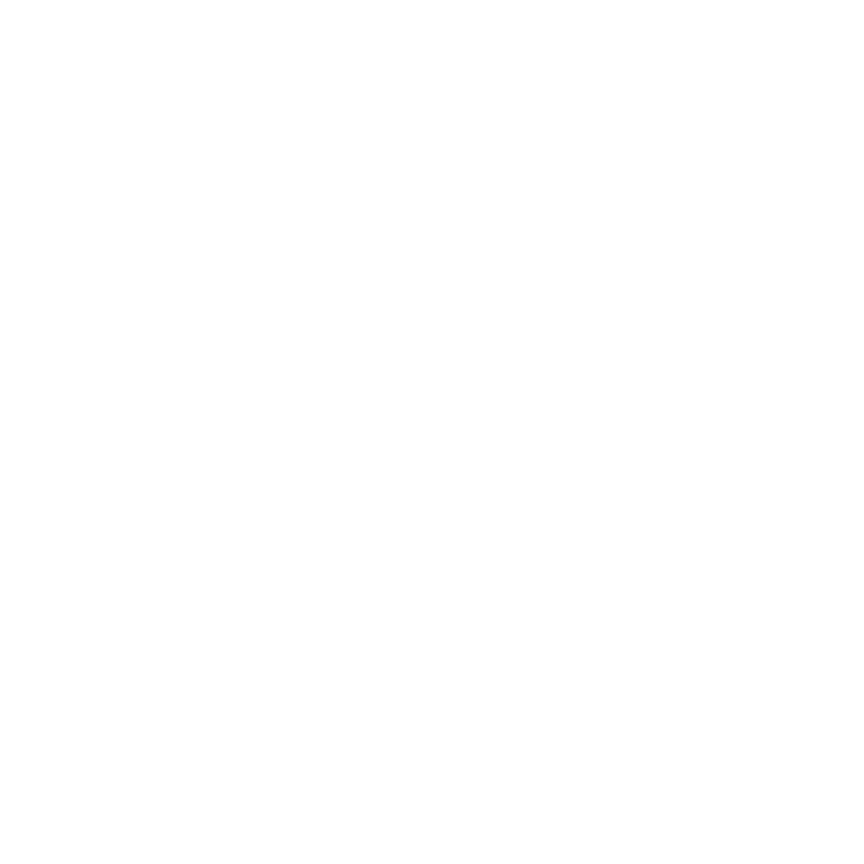 Facebook Secondary White logo