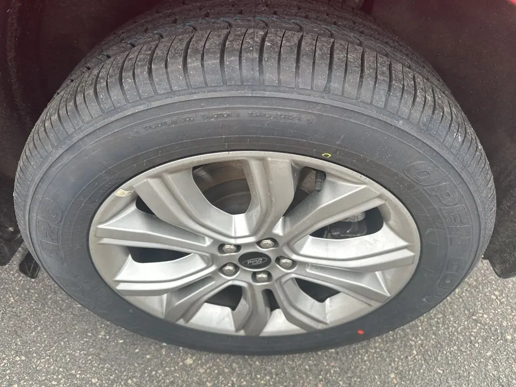 image-7