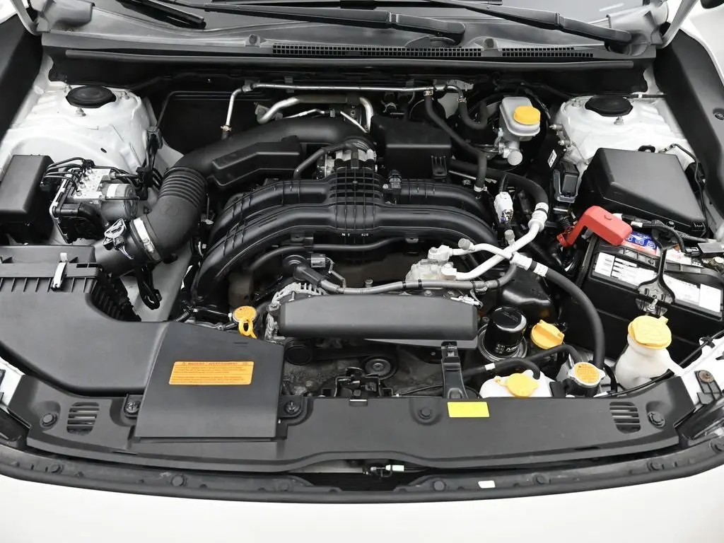 image-19