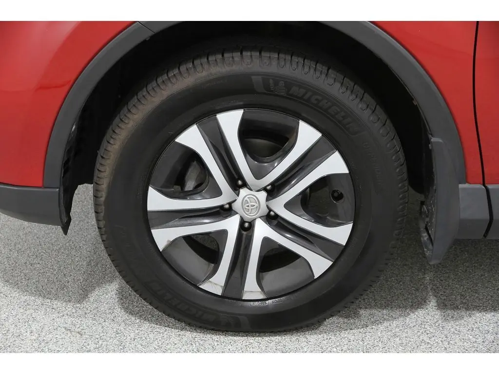 image-19