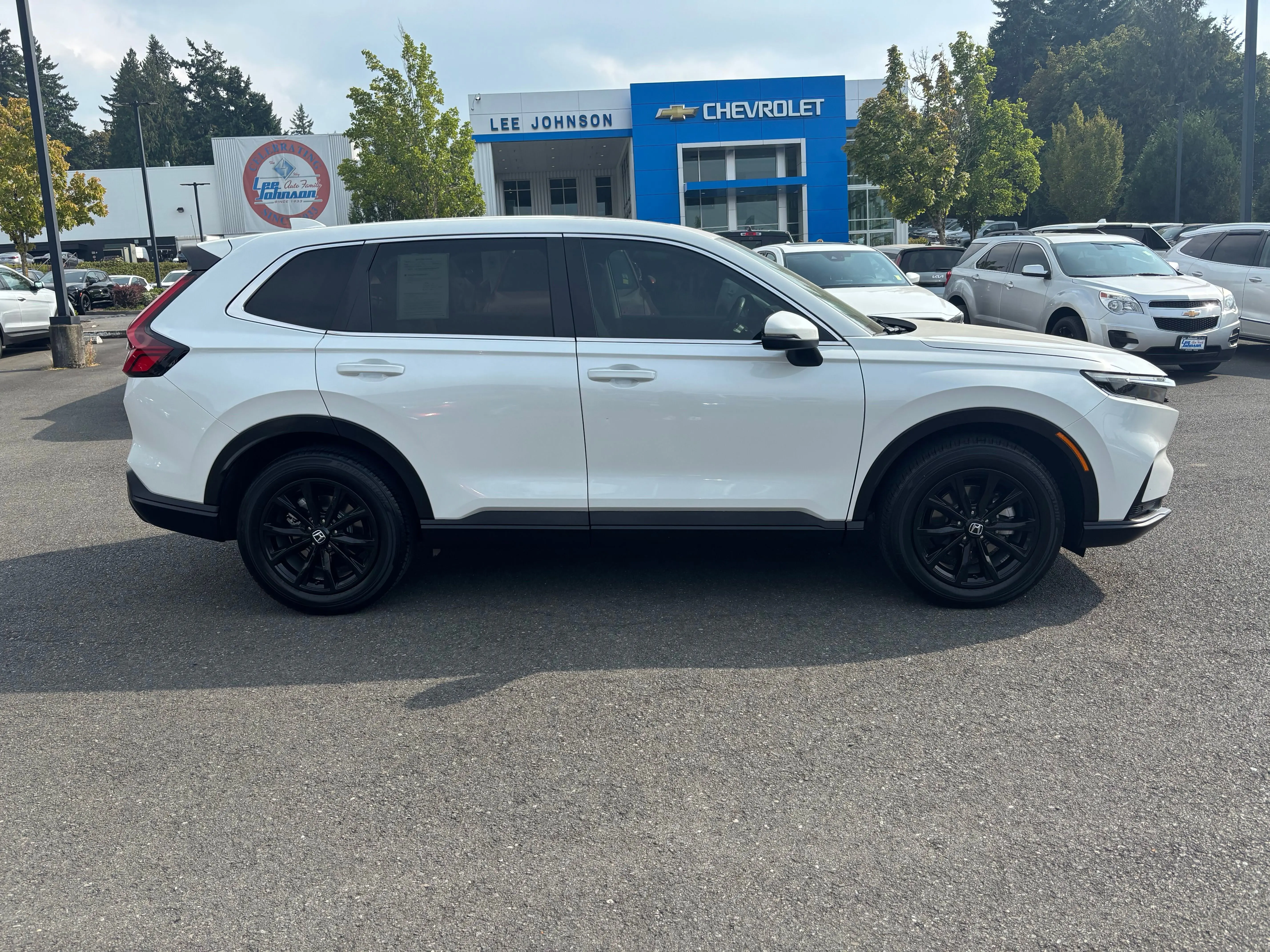 image-3