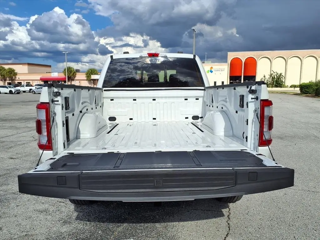 2023 Ford F-150 Platinum photo 20
