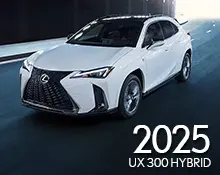 2025 TX 500h F SPORT
