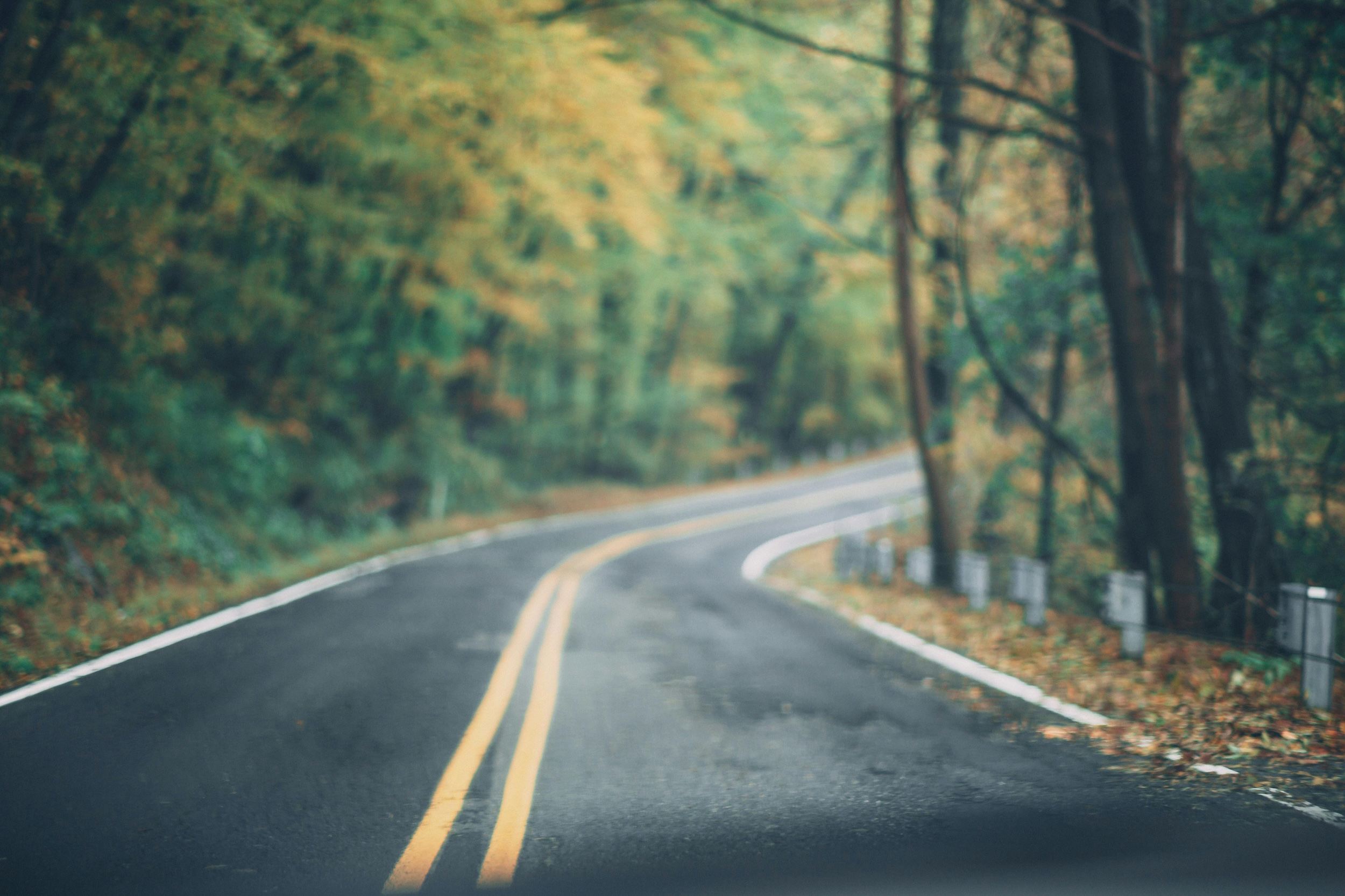 Blog Cover Image