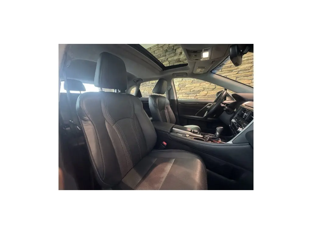 image-19