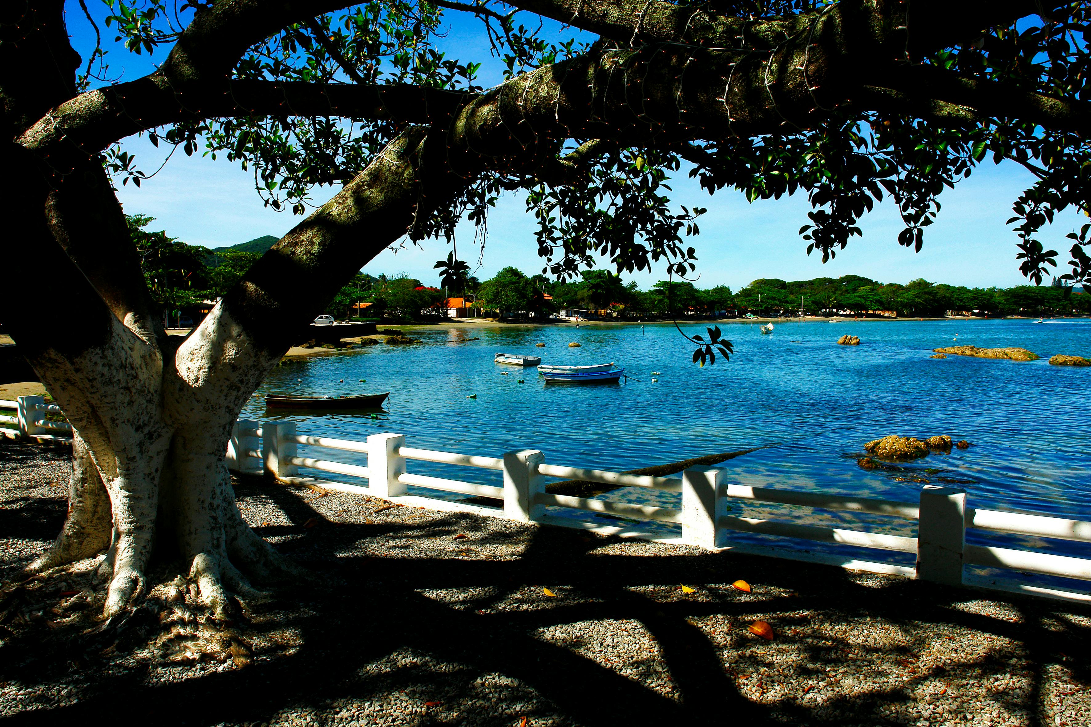 Heavy-duty pickup truck ready for towing and jobsite work