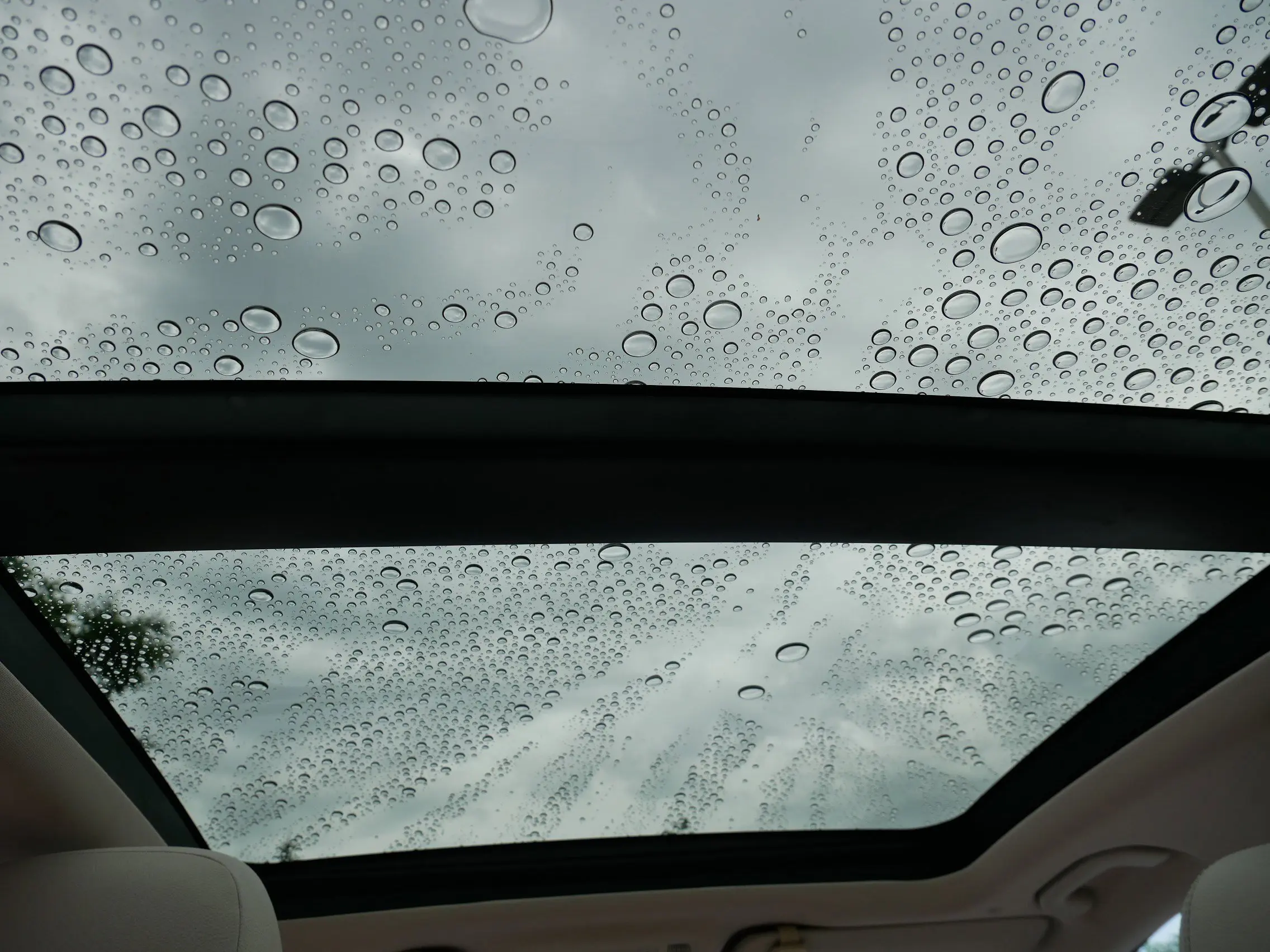 image-19