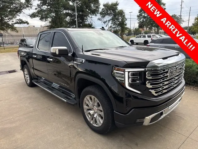 2024 Gmc Sierra 1500 Denali photo 3