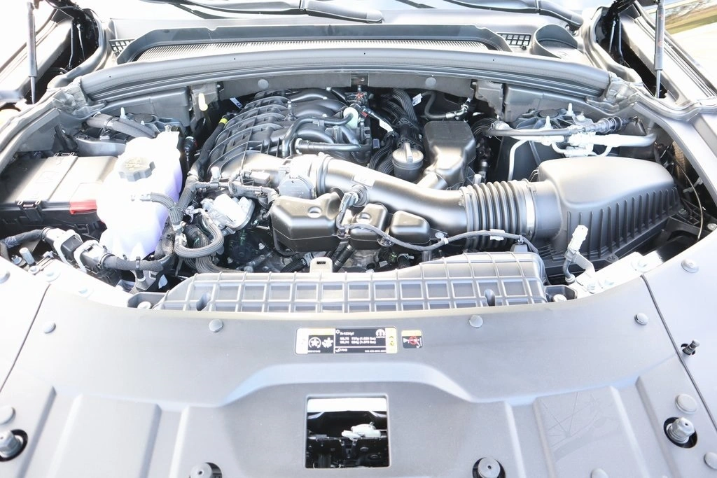 image-19