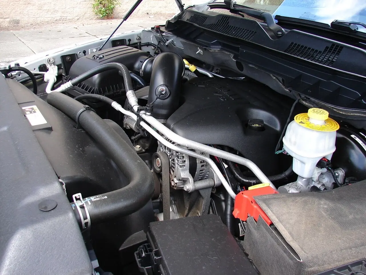 image-5