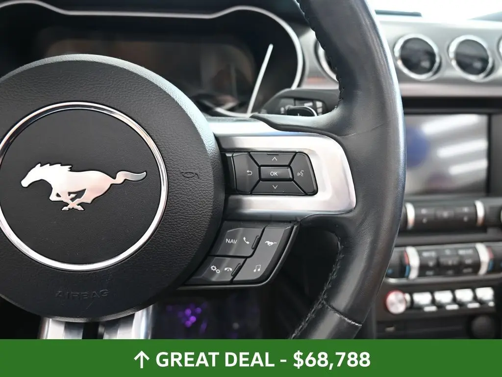 2019 Ford Mustang GT Premium Mach 1 photo 25