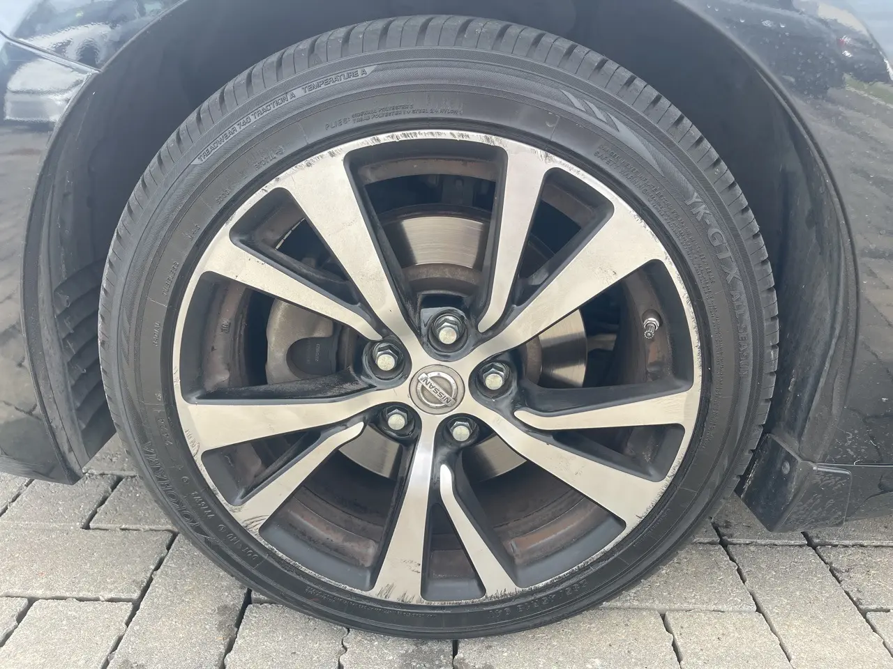 image-7