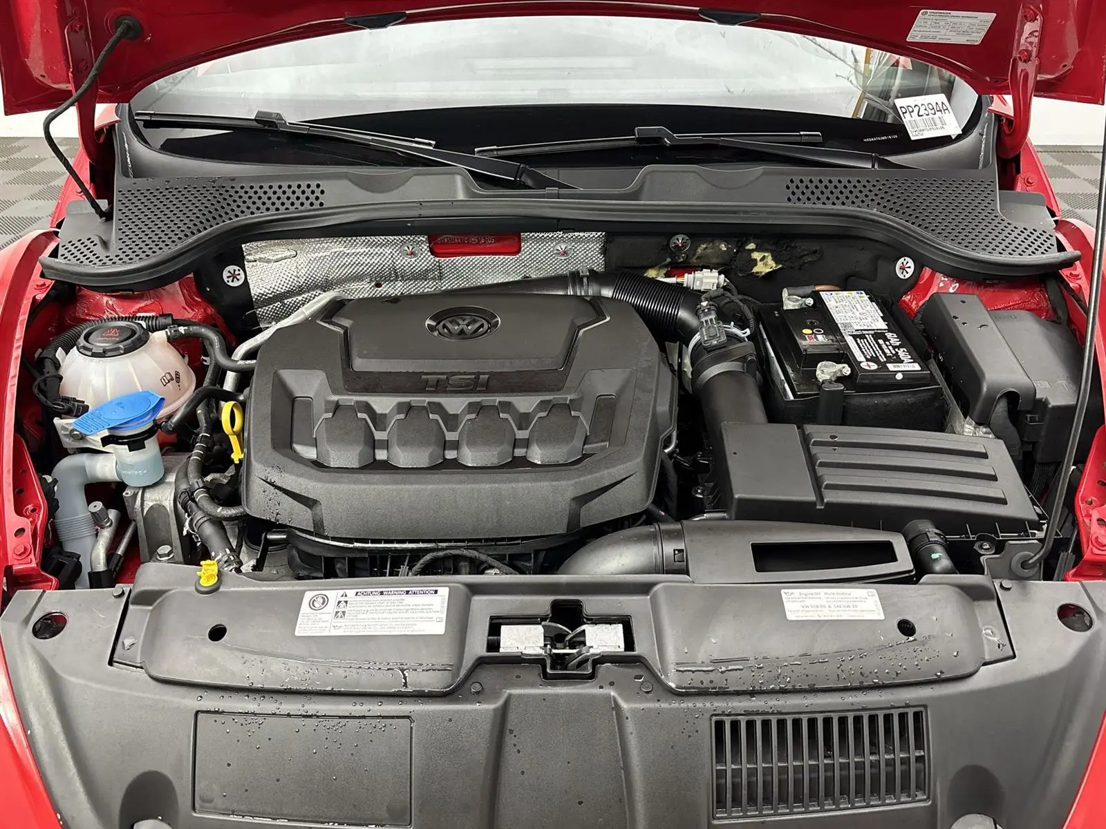 image-19