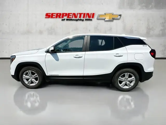 image-7