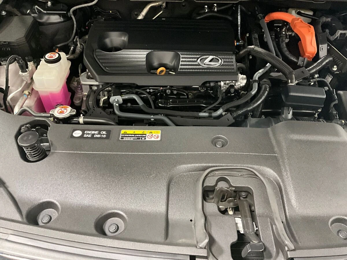 image-10
