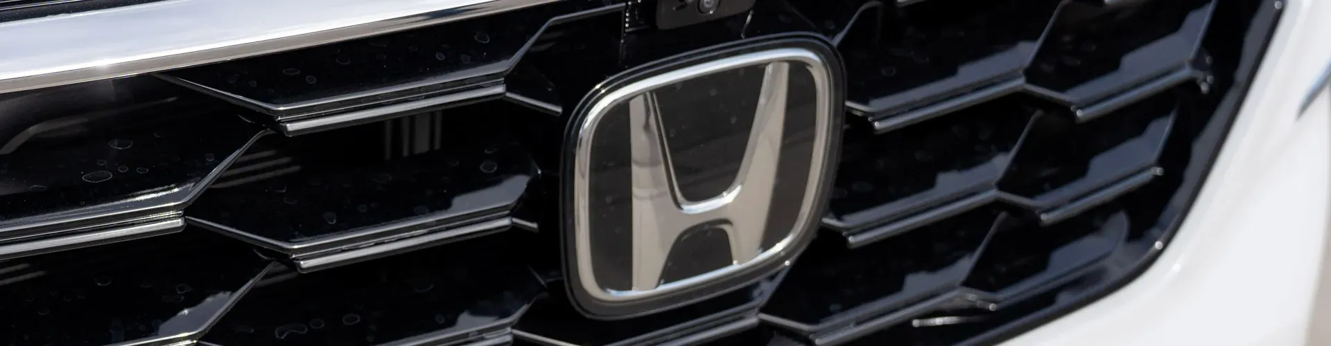 Image of Schomp Honda employees