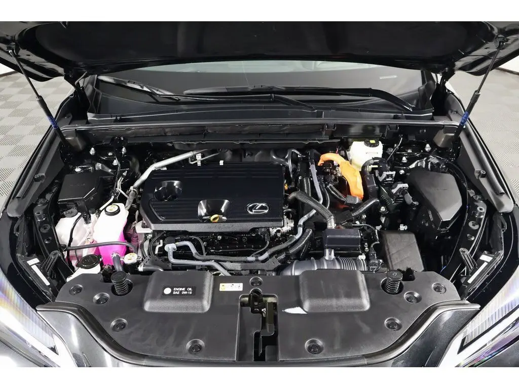 image-14
