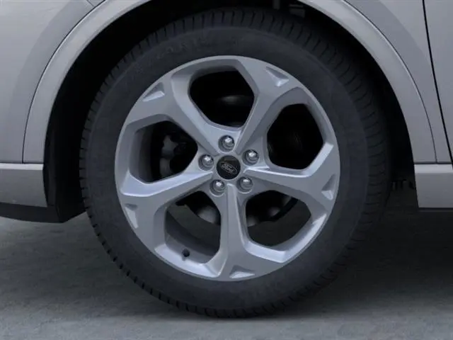 image-19