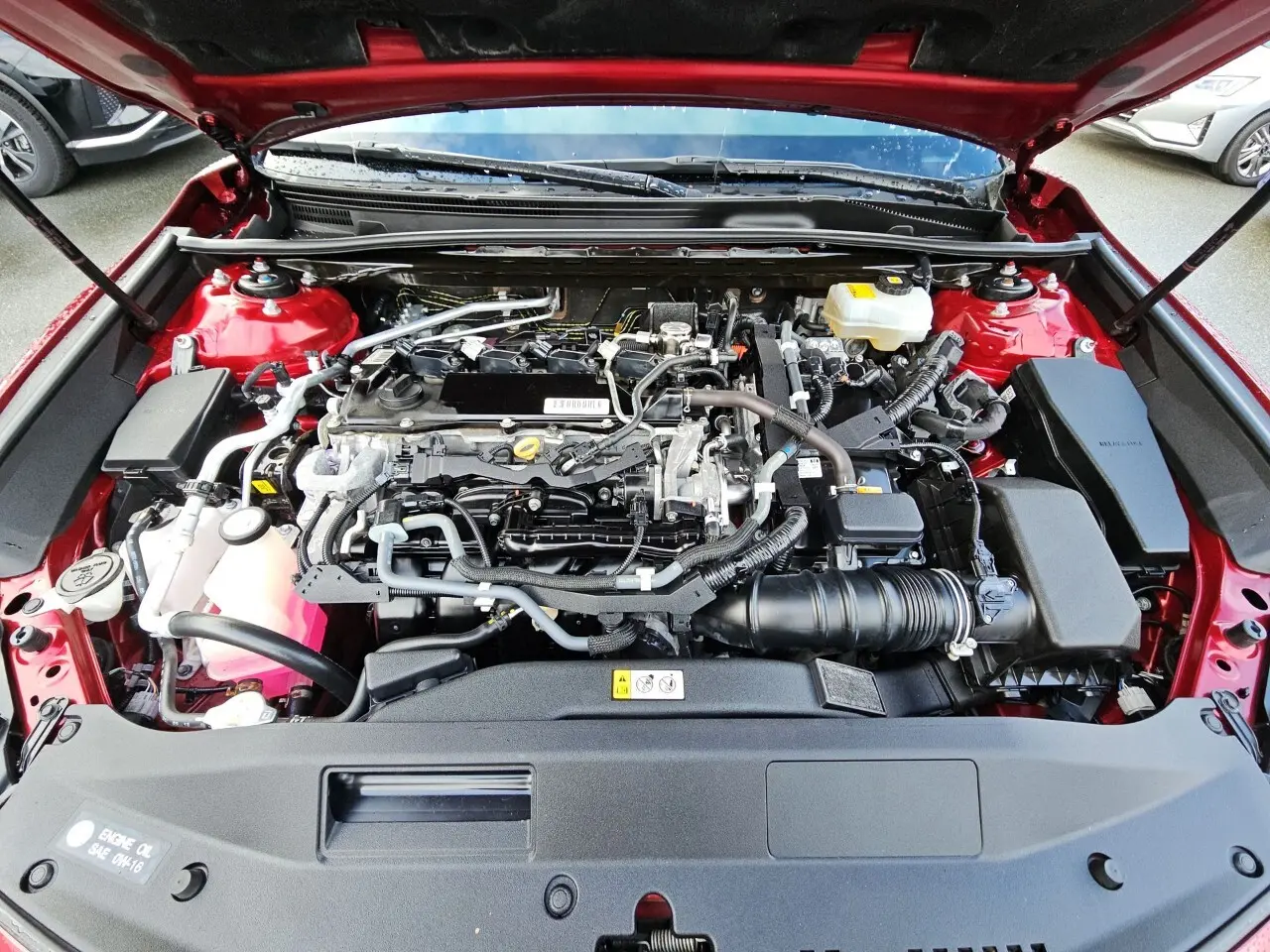 image-16