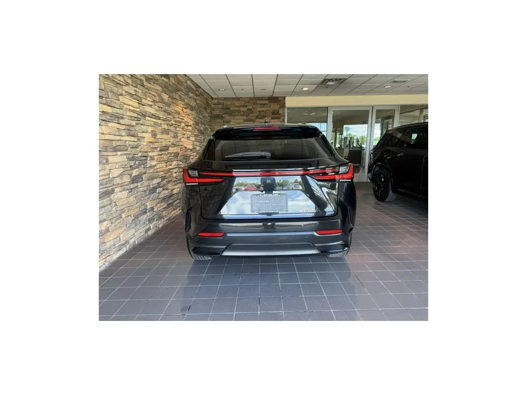 image-10