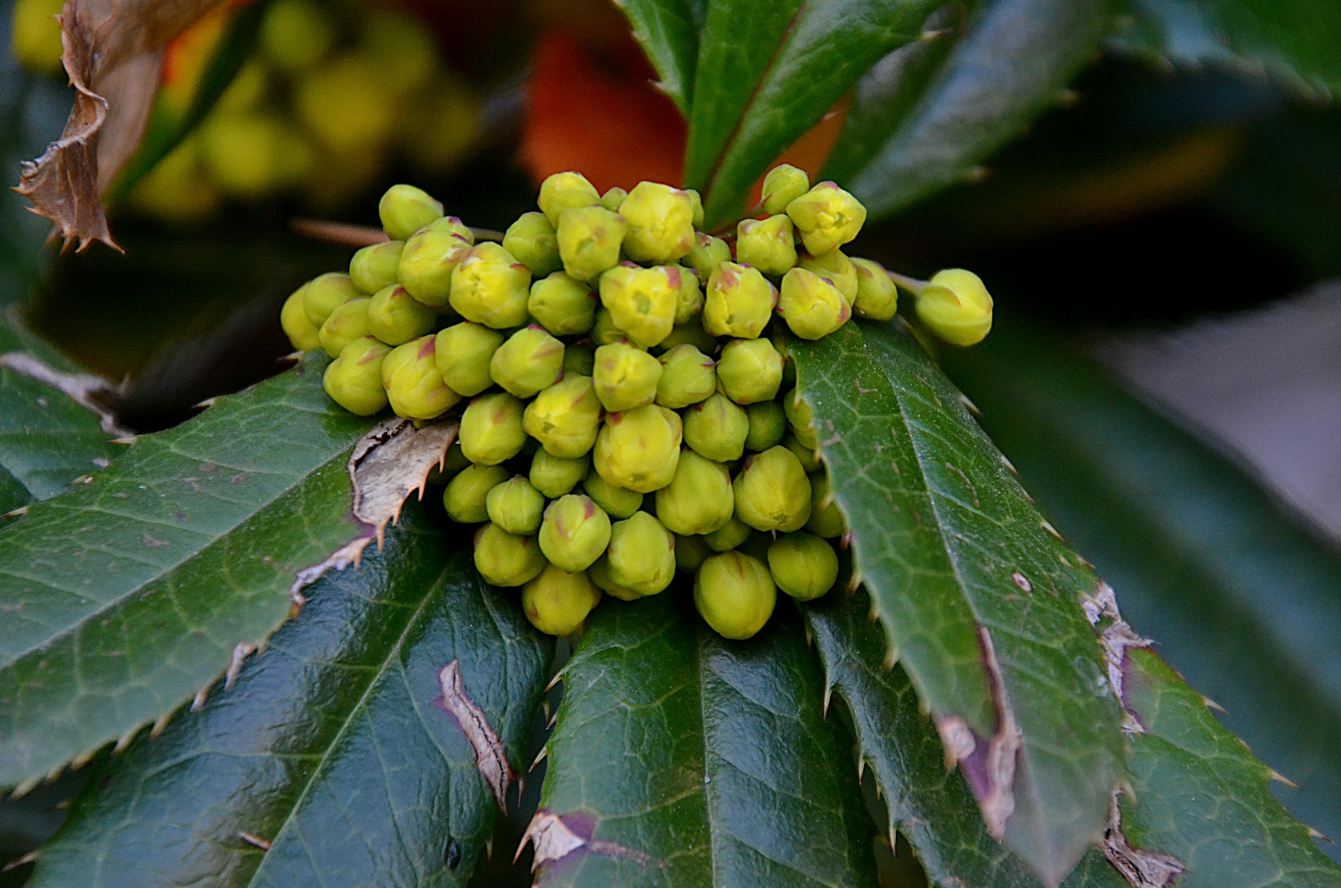 2026 Ford Bronco with doors off on a gravel road