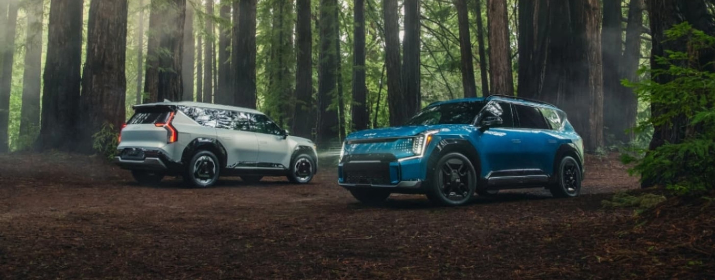 A white and a blue 2024 Kia EV9 parked in a forest after leaving a Kia dealer near Waukesha