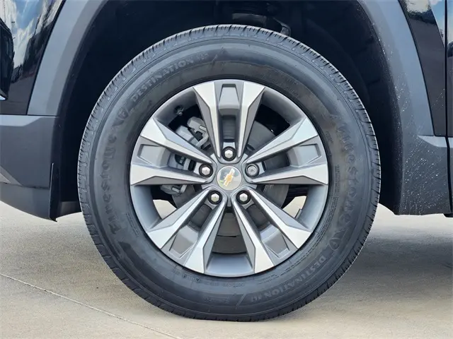 image-7
