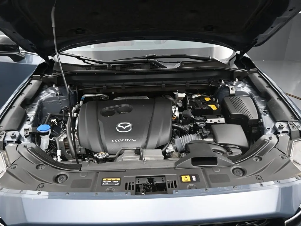 image-15