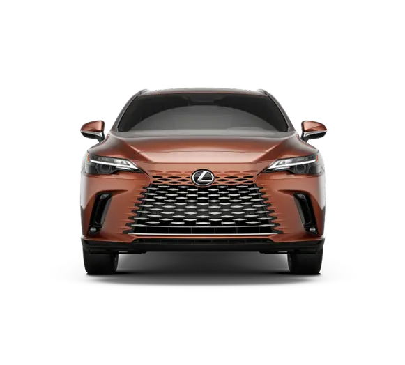 2025 Lexus RX 350h Premium AWD photo 4