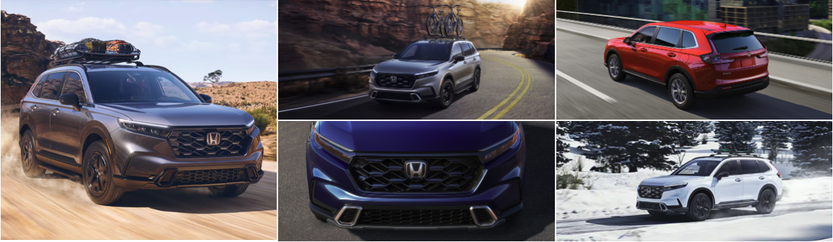 2025 Honda CR-V Photo