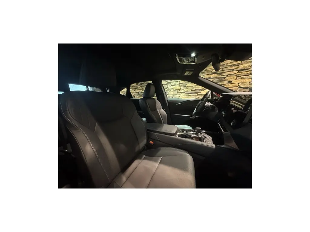 image-19