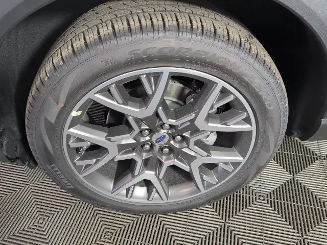 image-7