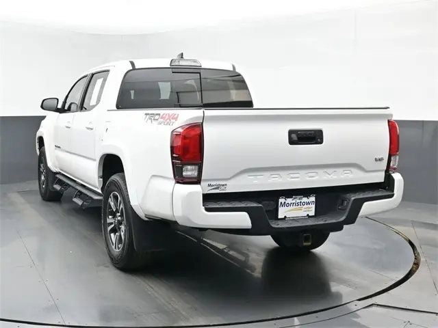 image-11