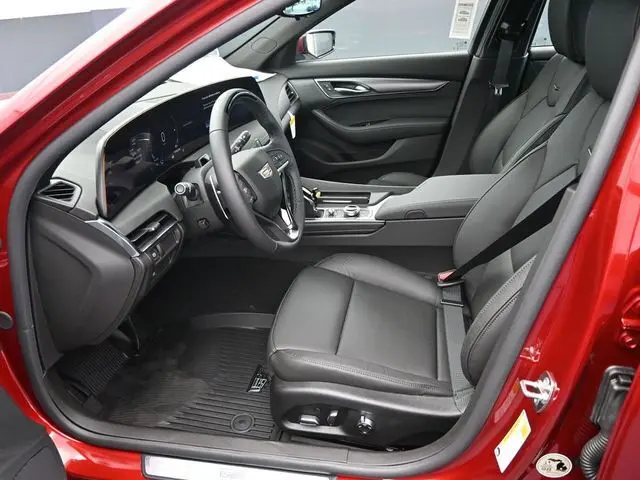 image-12
