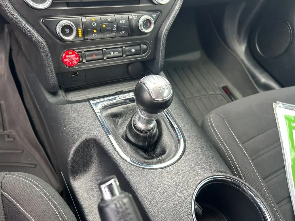 image-19