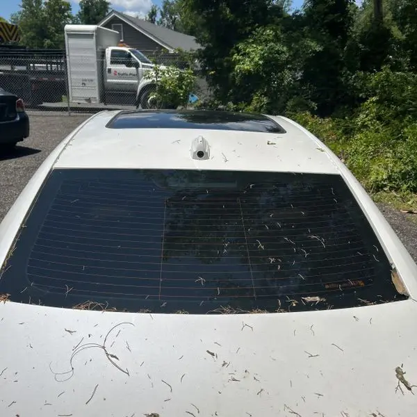image-4