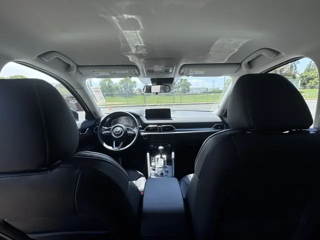 image-11